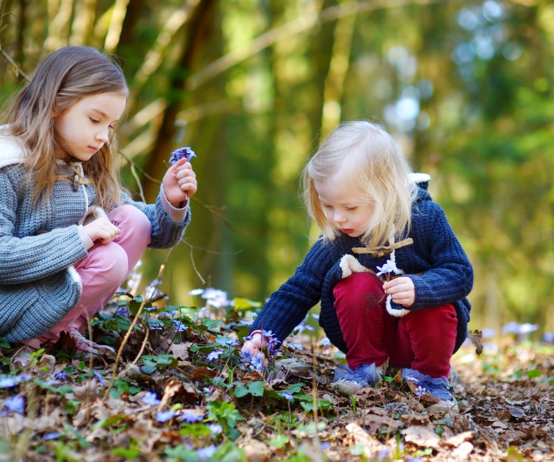 Two little sisters picking the first flowers of spring Activities