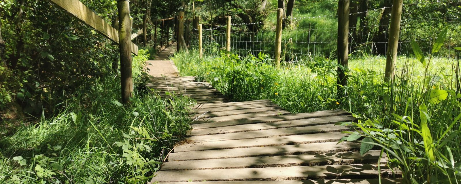 Nature trails