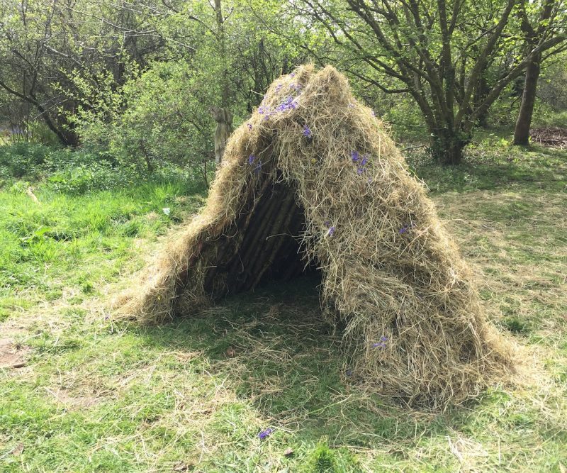 Den building Schools and Groups